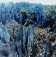 石林春曉藏品圖，第1張