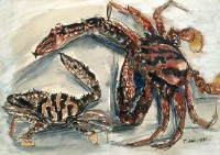 蟹藏品圖，第1張