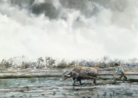 耙田趕工的圖片