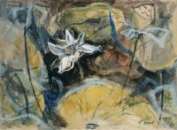 荷花藏品圖，第1張