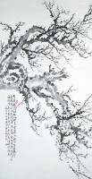 梅花的圖片