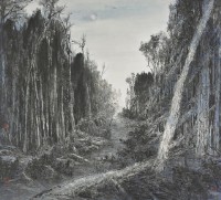 三股海邊的防風林的圖片