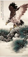 大鵬展翅的圖片