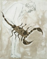 動物寓言集藏品圖，第1張