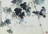 花鳥(葡萄八哥)的圖片