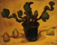 仙人掌藏品圖，第1張