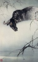 牛的圖片