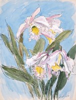 洋蘭(二)藏品圖，第1張