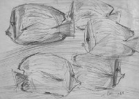 魚(一)藏品圖，第1張