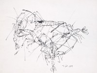 蝦(二)藏品圖，第1張