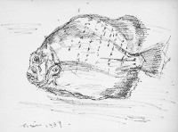 魚(八)藏品圖，第1張