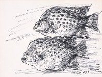 魚(十)藏品圖，第1張