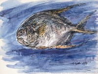 魚(十一)藏品圖，第1張