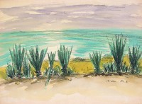 墾丁海岸藏品圖，第1張