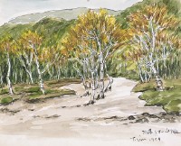 北海道川湯硫磺山(日本)藏品圖，第1張