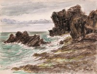 貓鼻頭藏品圖，第1張