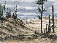 白沙灣海岸(二)藏品圖，第1張