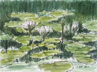 蓮花(三)藏品圖，第1張