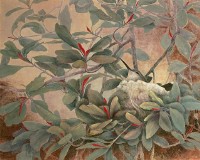 舒孵藏品圖，第1張