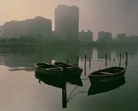 愛河晨霧的圖片