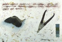 進化與啟示系列之14的圖片