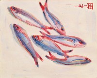 黑尾冬(魚)的圖片