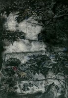 無題的圖片