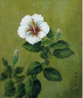 花藏品圖，第1張