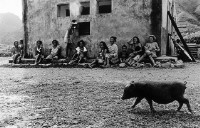 檢閱藏品圖，第1張