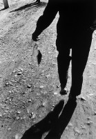 爺爺回家藏品圖，第1張