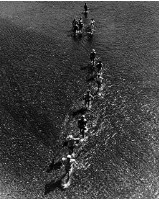 放學藏品圖，第1張