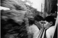 看窗外的男孩藏品圖，第1張