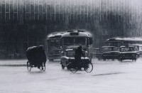 雨中即景的圖片