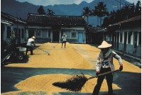 農家生活藏品圖，第1張