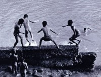 夏日時光的圖片