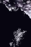 孤立藏品圖，第1張