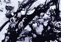 禁建‧紅毛港No.5同心協力藏品圖，第1張