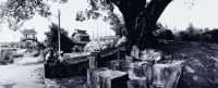 土地公保四方的圖片