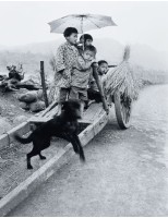 童趣藏品圖，第1張