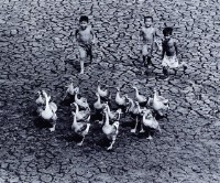 那年夏天藏品圖，第1張