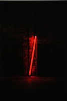 黑暗之光（三連作）的圖片