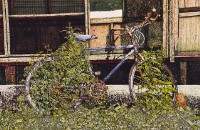 困境的生機（一）的圖片