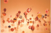 Life Code of the Ocean (II) Collection Image, Figure 2, Total 3 Figures