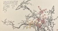 梅花的圖片