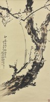梅花的圖片