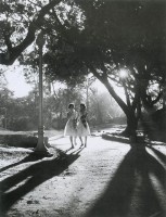 朝來雙豔藏品圖，第1張