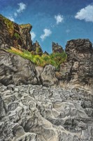 貓鼻頭藏品圖，第1張