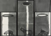 動物和牠的靈魂藏品圖，第1張