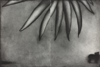 夢遊者II藏品圖，第1張