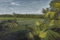 春曉－水稻田系列的圖片